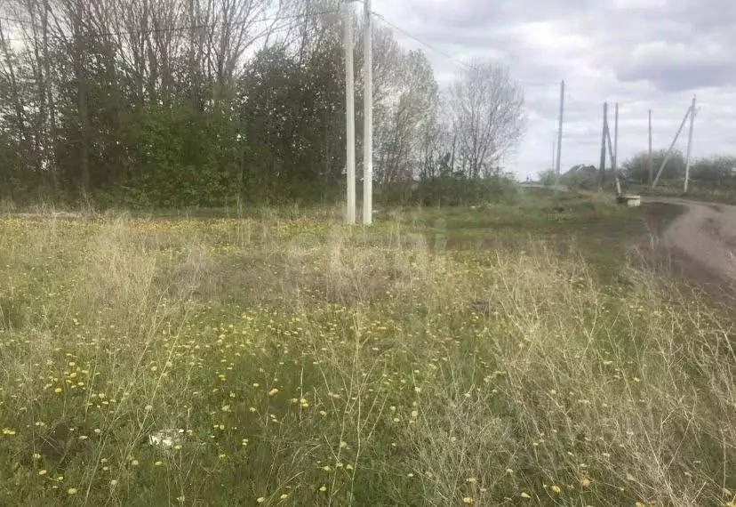 Участок в Мордовия, Саранск городской округ, с. Куликовка ул. Сосновая ... - Фото 2