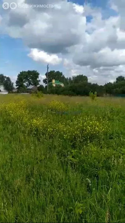 Участок в село Вязовка, Зелёная улица, 211 (11 м) - Фото 1