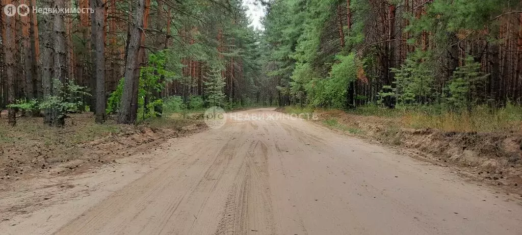 Участок в Мурминское сельское поселение, садоводческое товарищество ... - Фото 0