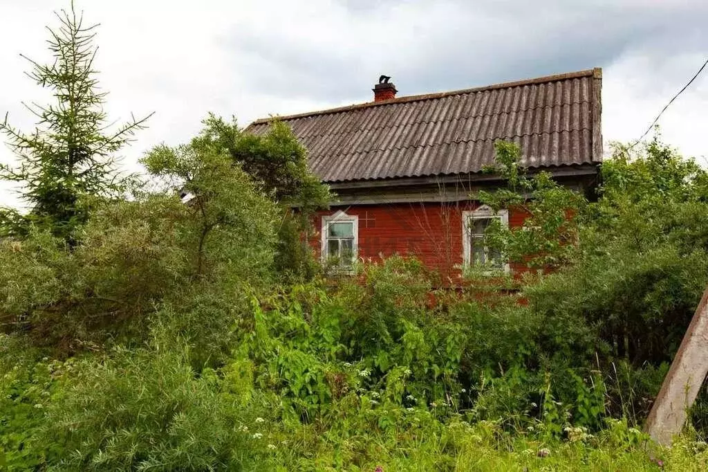 Дом в Малая Вишера, Комсомольская улица, 68 (30.5 м) - Фото 2