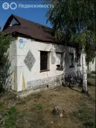 Дом в село Новотроицкое, Центральная улица, 29 (54 м) - Фото 1