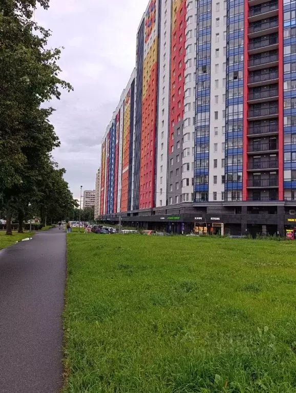 Студия Санкт-Петербург Кондратьевский просп., 68к4 (24.5 м) - Фото 1