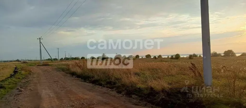 Участок в Челябинская область, Красноармейский район, Озерное с/пос, ... - Фото 1