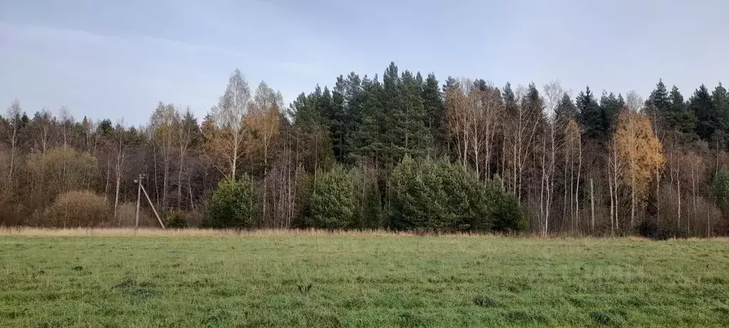 Участок в Московская область, Клин городской округ, Решетниково рп, ... - Фото 0