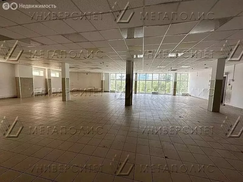 Помещение свободного назначения (275 м) - Фото 0