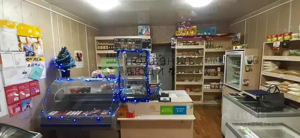 Торговая площадь в Курганская область, Кетовский муниципальный округ, ... - Фото 2