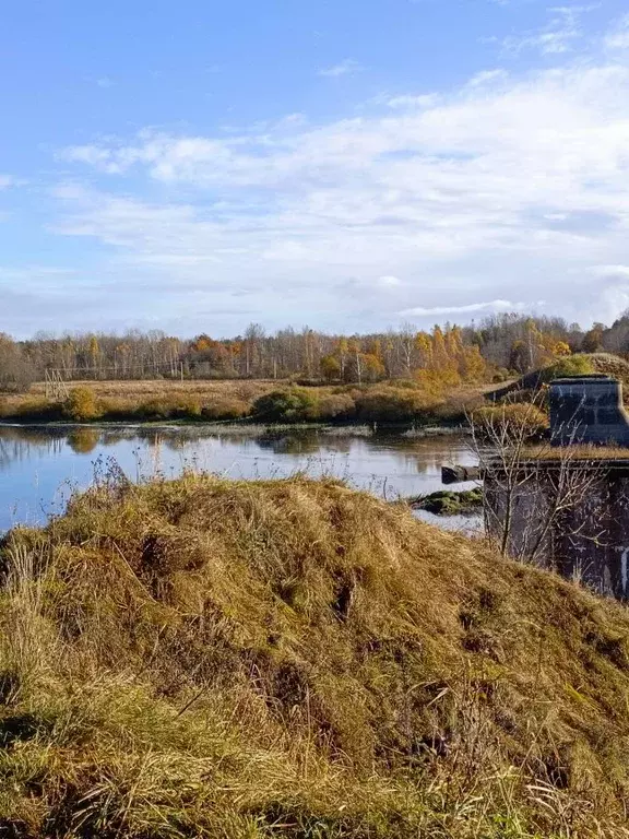 Участок в Псковская область, Псковский район, Тямшанская волость, д. ... - Фото 2
