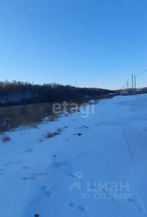 Участок в Амурская область, Благовещенский район, с. Чигири ул. Мира ... - Фото 0