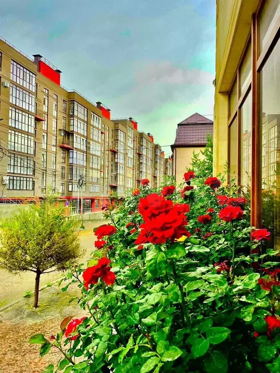 1-к. квартира, 50 м, 8/9 эт. - Фото 0