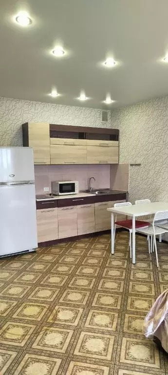 Студия Новосибирская область, Новосибирск ул. Виктора Шевелева, 20 ... - Фото 1