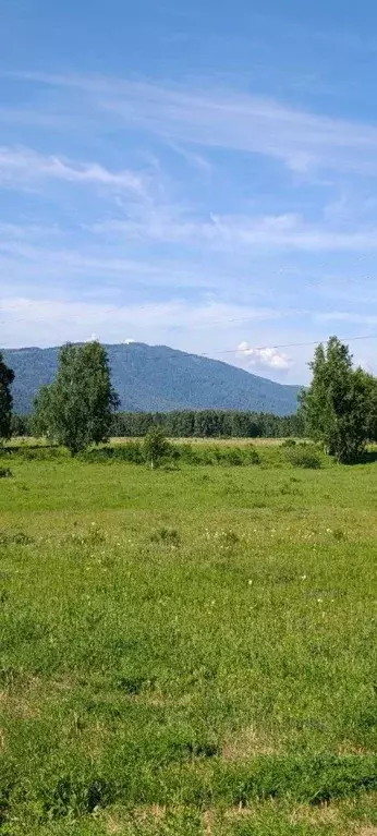 Участок в Алтай, Усть-Коксинский район, с. Верх-Уймон  (29.0 сот.) - Фото 1