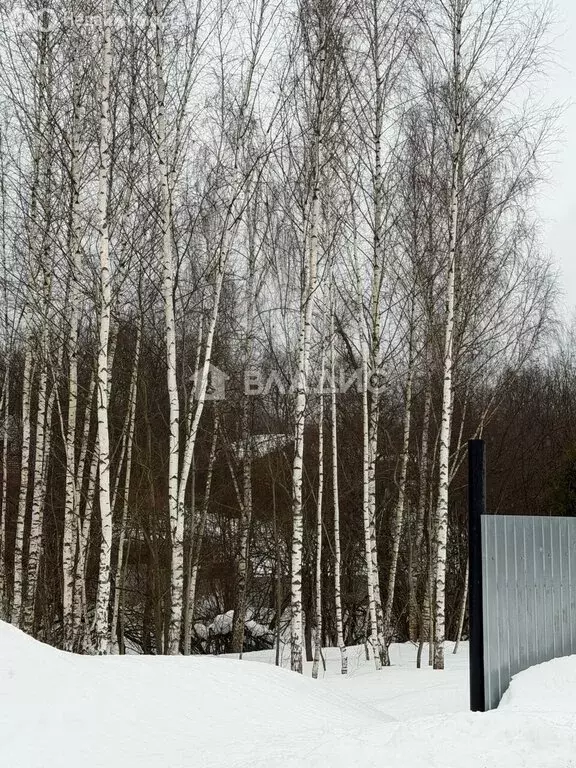 Участок в посёлок Мещерское, Дубравная улица (6 м) - Фото 2