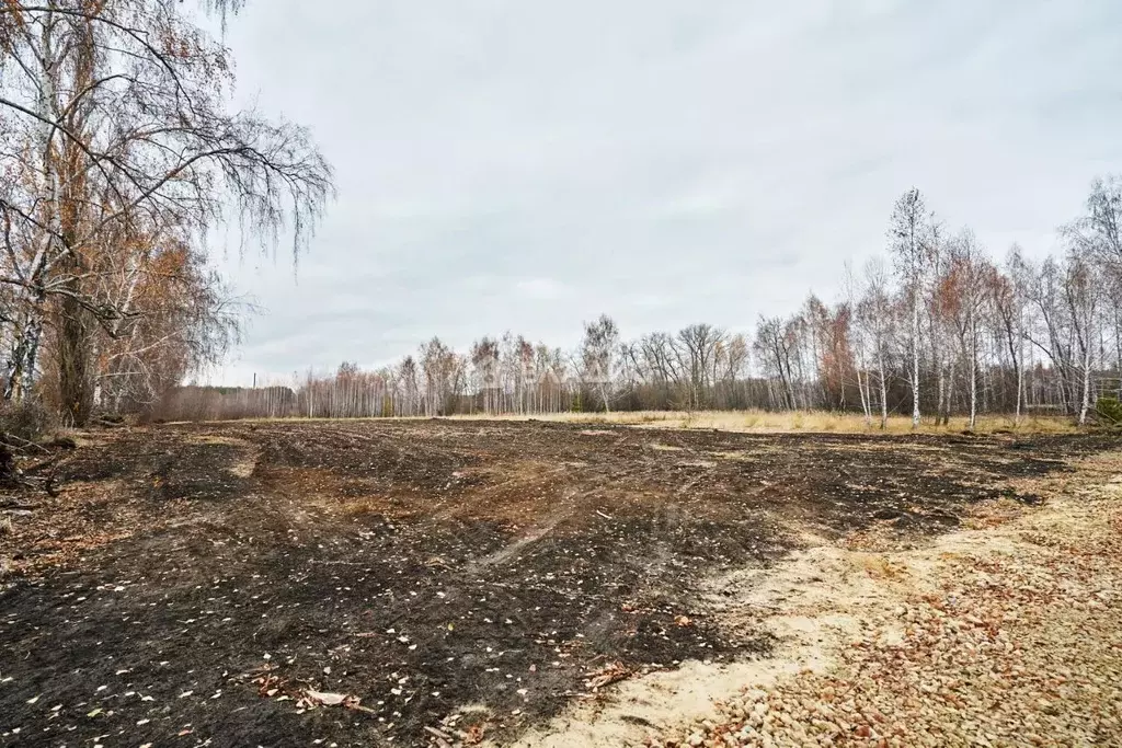 Участок в Воронежская область, Воронеж ул. Славянова (4.0 сот.) - Фото 0