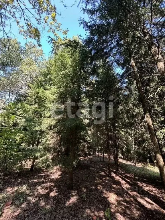 Участок в Новосибирская область, Искитимский район, Морозовский ... - Фото 1