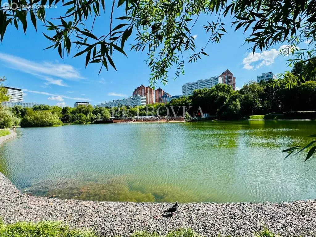 2-комнатная квартира: Москва, улица Удальцова, 4 (48.1 м) - Фото 1