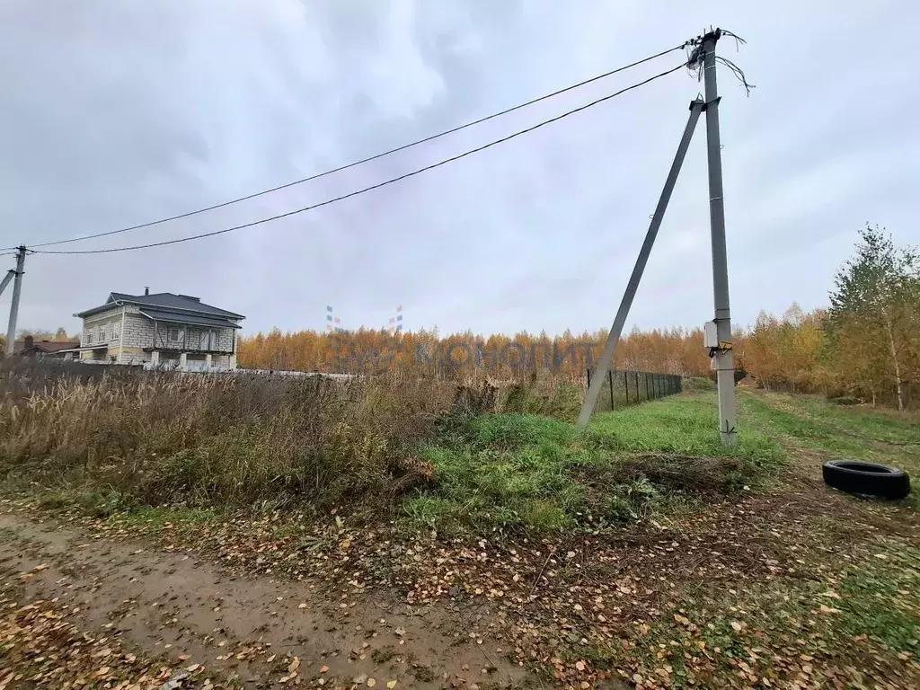 Участок в Нижегородская область, Нижний Новгород с. Безводное, ул. ... - Фото 2