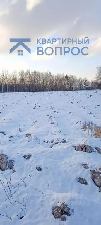 Участок в Нижегородская область, Городецкий муниципальный округ, д. ... - Фото 0