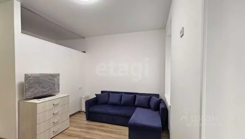 Студия Санкт-Петербург Заозерная ул., 6 (26.1 м) - Фото 0
