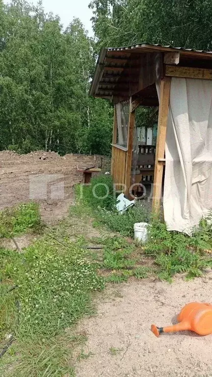 Участок в Новосибирская область, Новосибирск Комета-Березка садовое ... - Фото 1