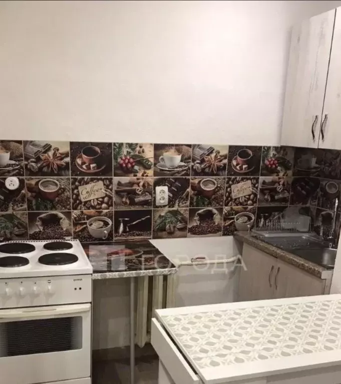 1-к кв. Алтайский край, Барнаул ул. Чеглецова, 17 (24.1 м) - Фото 2