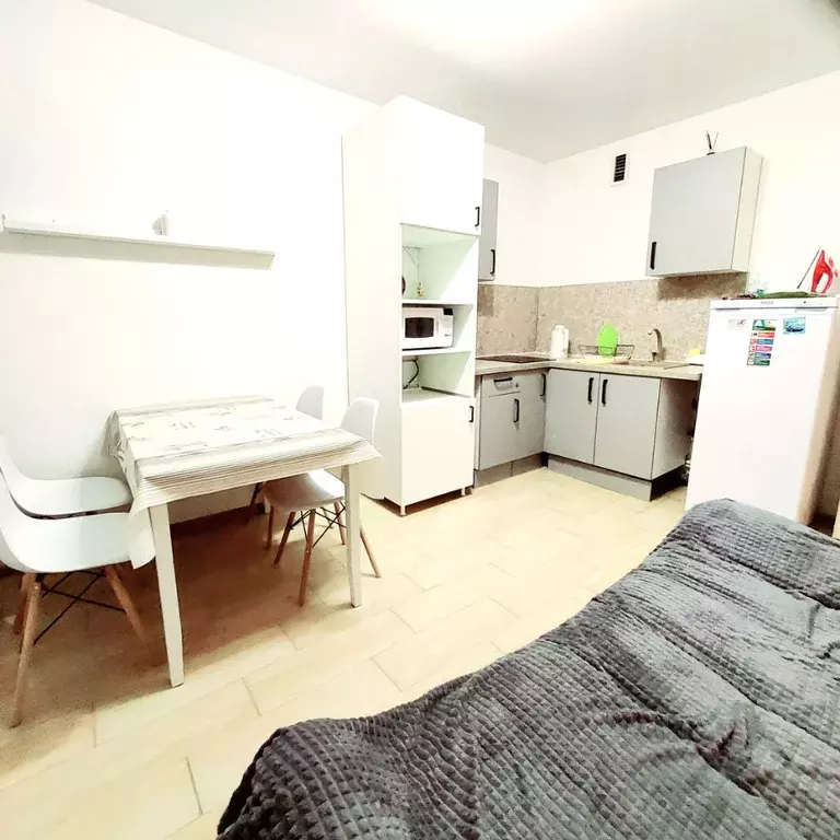 2-к кв. Нижегородская область, Нижний Новгород ул. Новокузнечихинская, ... - Фото 2