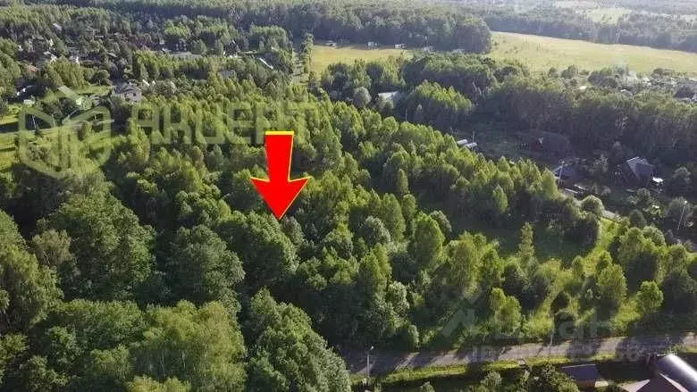 Участок в Калужская область, Тарусский район, Волковское с/пос, ... - Фото 1