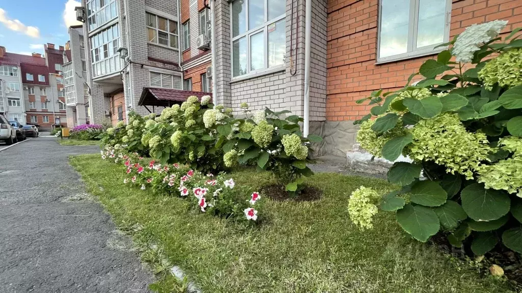 3-к кв. Вологодская область, Череповец ул. Батюшкова, 7А (122.2 м) - Фото 1