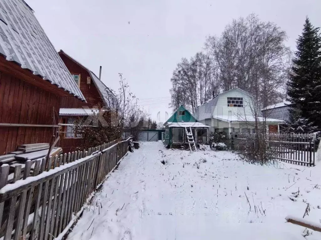 Участок в Новосибирская область, Коченевский район, Недра садовое ... - Фото 1