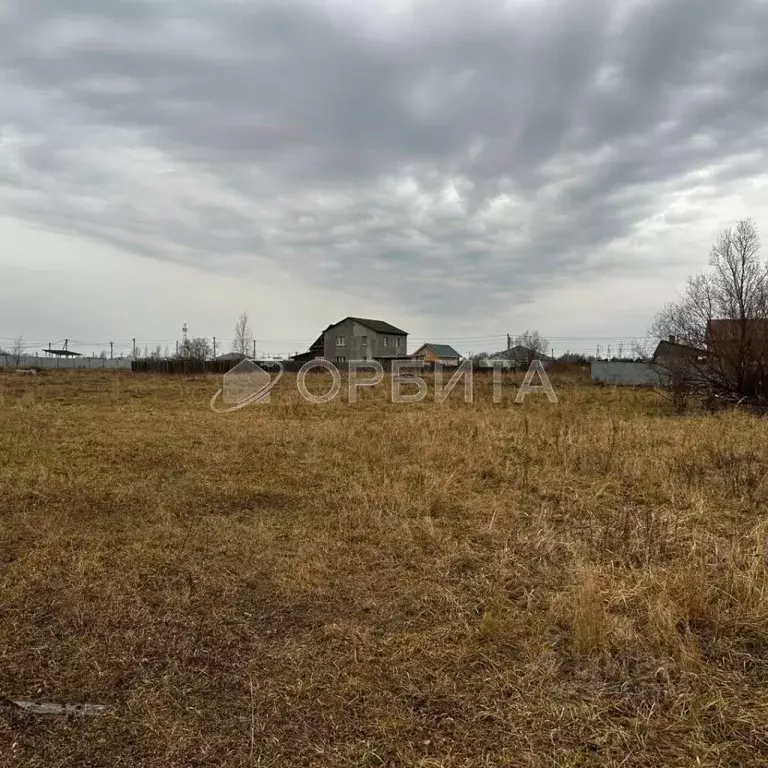 Участок в Тюменская область, Тюменский муниципальный округ, с. Борки  ... - Фото 2