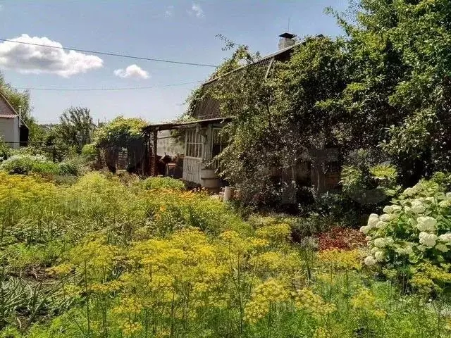 Участок в Калининградская область, Калининград Александра ... - Фото 1