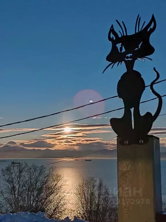 Дом в Камчатский край, Петропавловск-Камчатский ул. Беринга, 66 (30 м) - Фото 1