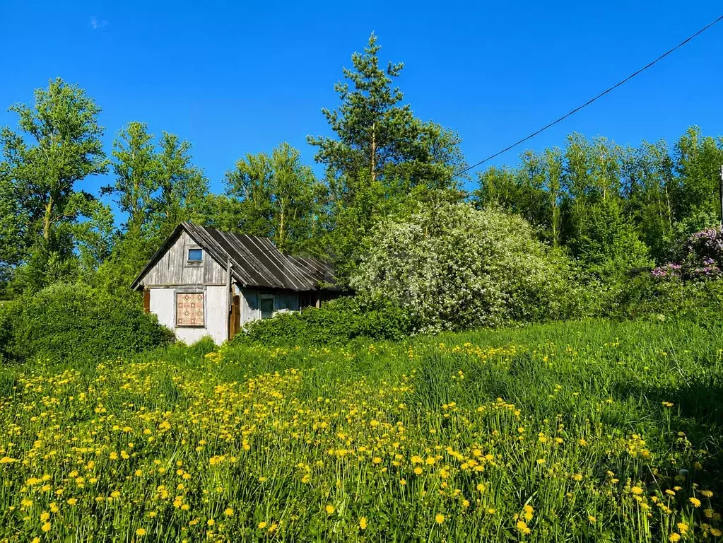 Участок в Ленинградская область, Ломоносовский район, Виллозское ... - Фото 1