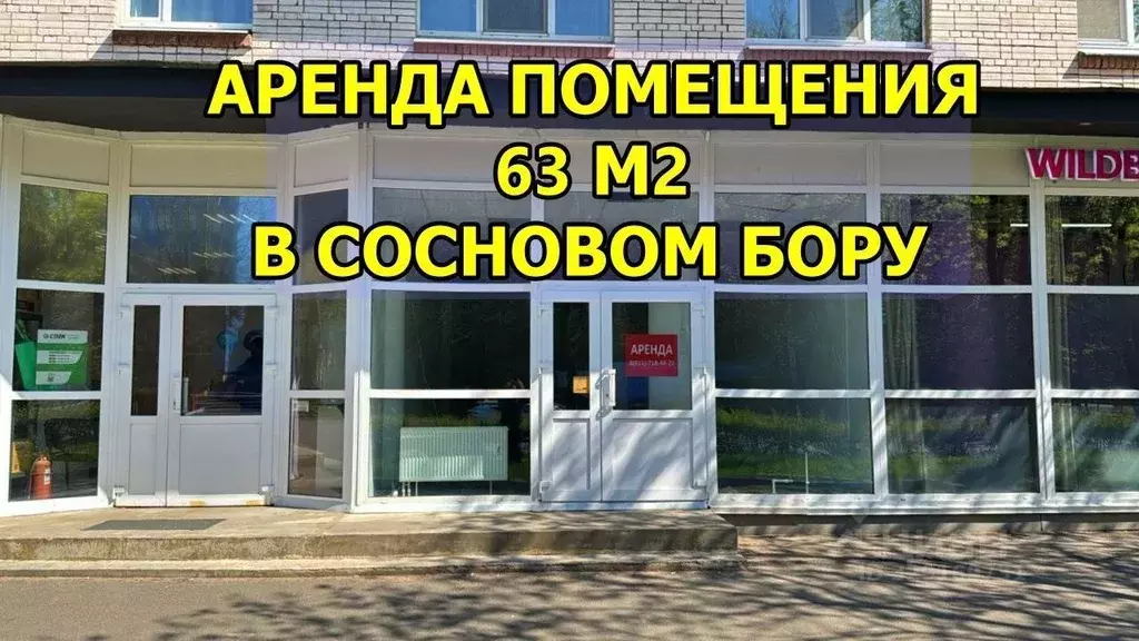 Помещение свободного назначения в Ленинградская область, Сосновый Бор ... - Фото 1