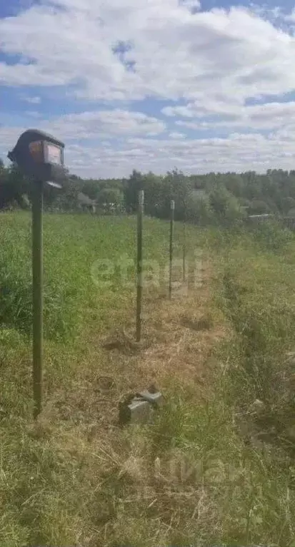 Участок в Пермский край, Пермский муниципальный округ, д. Броды ул. ... - Фото 2