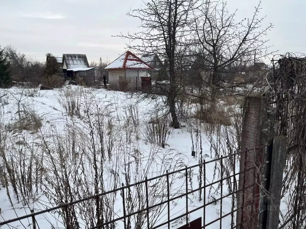 Участок в Воронежская область, Воронеж Березка СНТ, 4-я линия, 175 ... - Фото 1