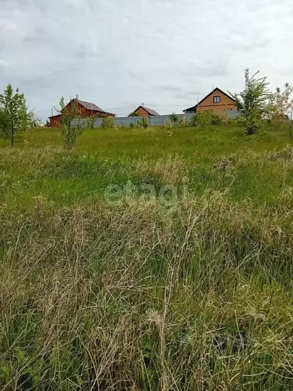 Участок в Белгородская область, Бирюч Красногвардейский район, ул. ... - Фото 0