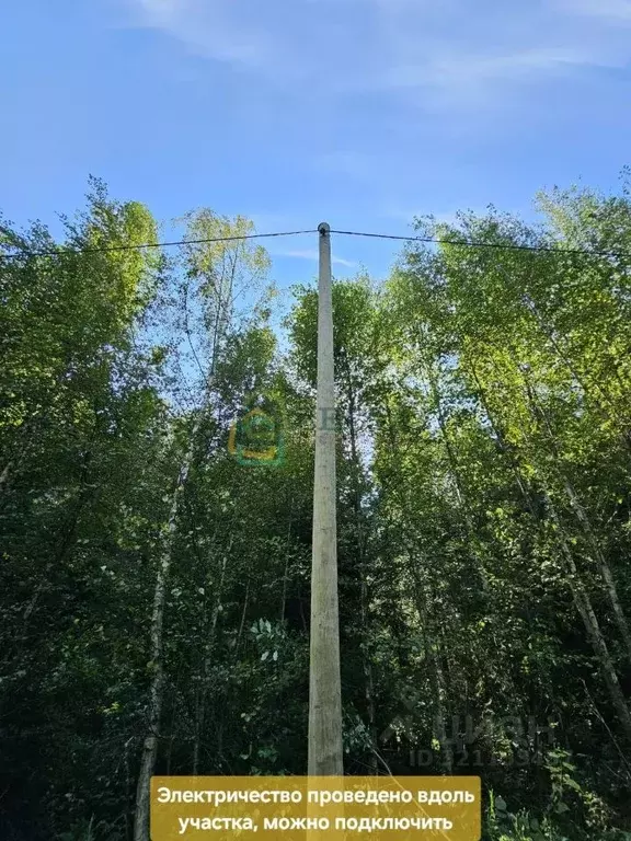 Участок в Ленинградская область, Выборгский район, Первомайское с/пос, ... - Фото 2