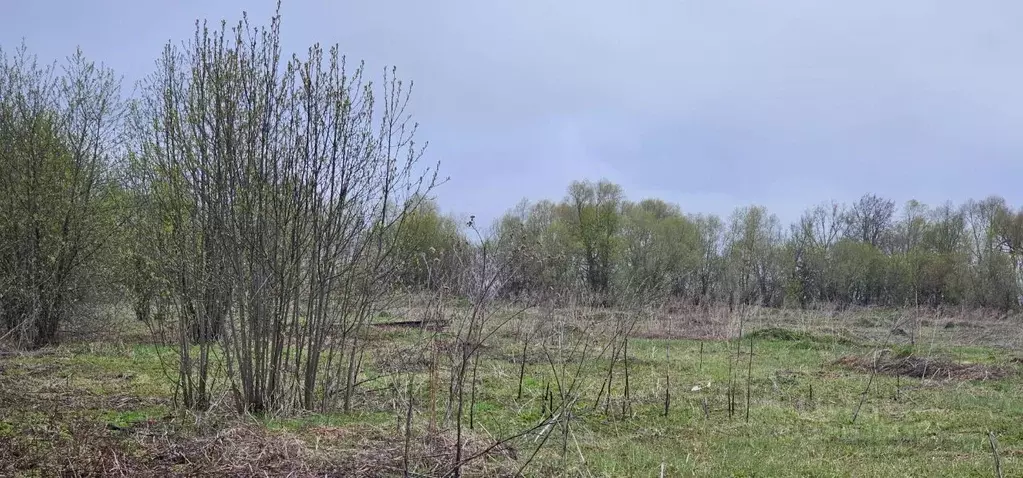 Участок в Московская область, Луховицы муниципальный округ, с. ... - Фото 1