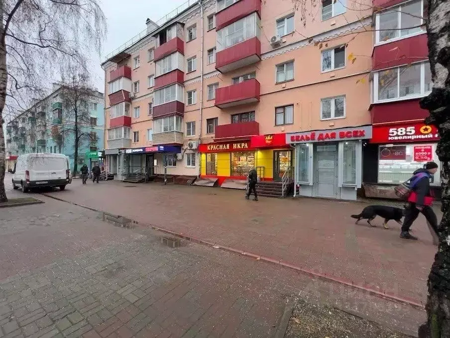 Торговая площадь в Московская область, Люберцы Смирновская ул., 16 (59 ... - Фото 2