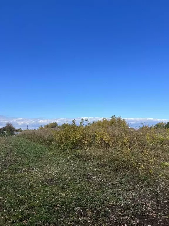 Участок в Татарстан, Тукаевский район, с. Калмия  (10.0 сот.) - Фото 0