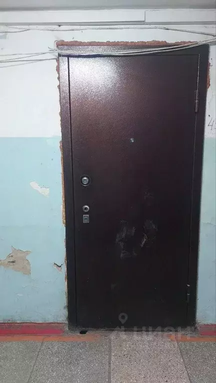 Помещение свободного назначения в Красноярский край, Красноярск ул. ... - Фото 1