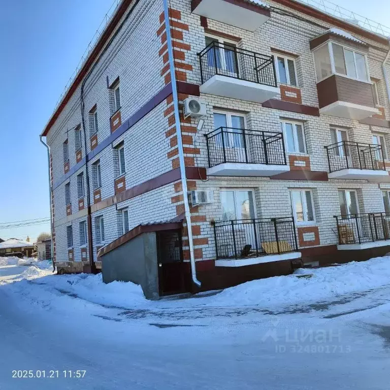 2-к кв. Амурская область, Благовещенский район, с. Чигири ул. ... - Фото 1