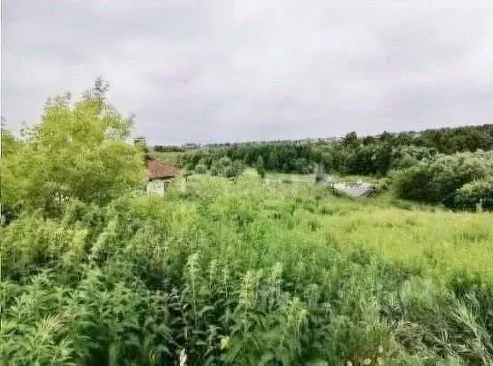 Участок в Орловская область, Орловский район, д. Кондырева  (18.0 ... - Фото 1