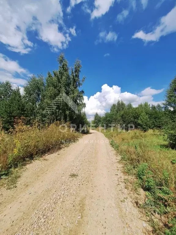 Участок в Свердловская область, Заречный муниципальный округ, с. ... - Фото 2