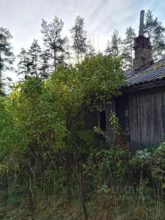 Дом в Ленинградская область, Приозерский район, Плодовское с/пос, пос. ... - Фото 2