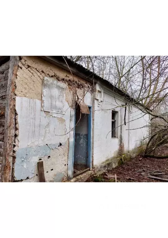 Дом в Курская область, Советский район, Нижнеграйворонский сельсовет, ... - Фото 0