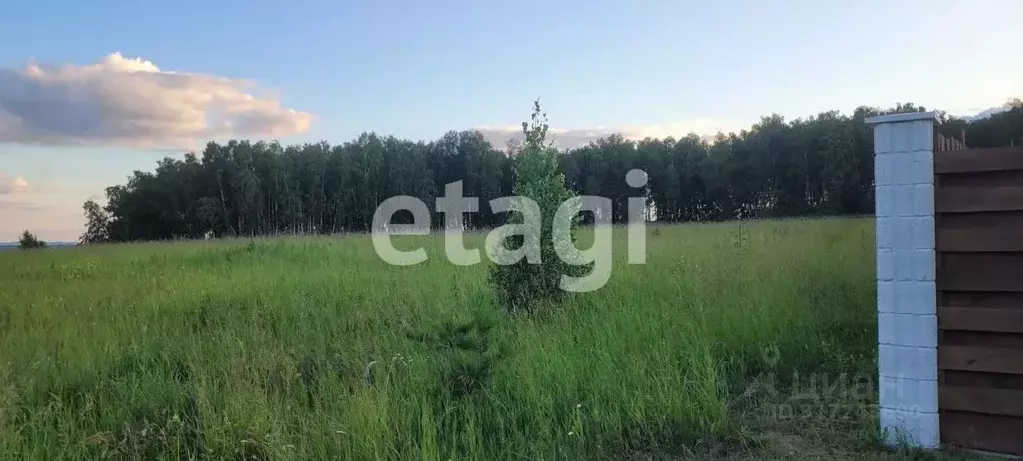 Участок в Красноярский край, Емельяновский район, с. Шуваево  (10.0 ... - Фото 0
