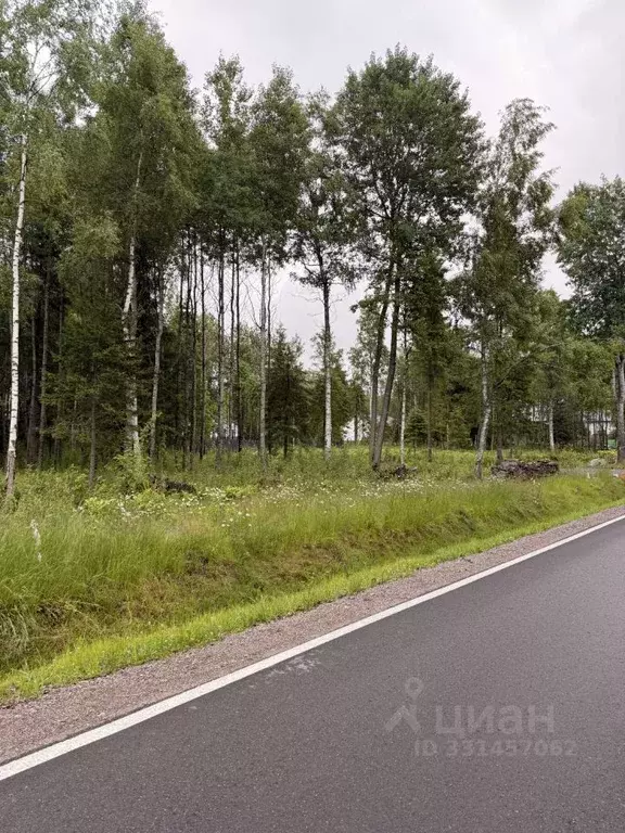 Участок в Ленинградская область, Приозерский район, Сосновское с/пос, ... - Фото 2