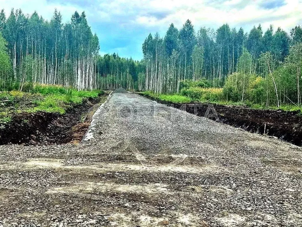 Участок в Тюменская область, Нижнетавдинский муниципальный округ, ... - Фото 2