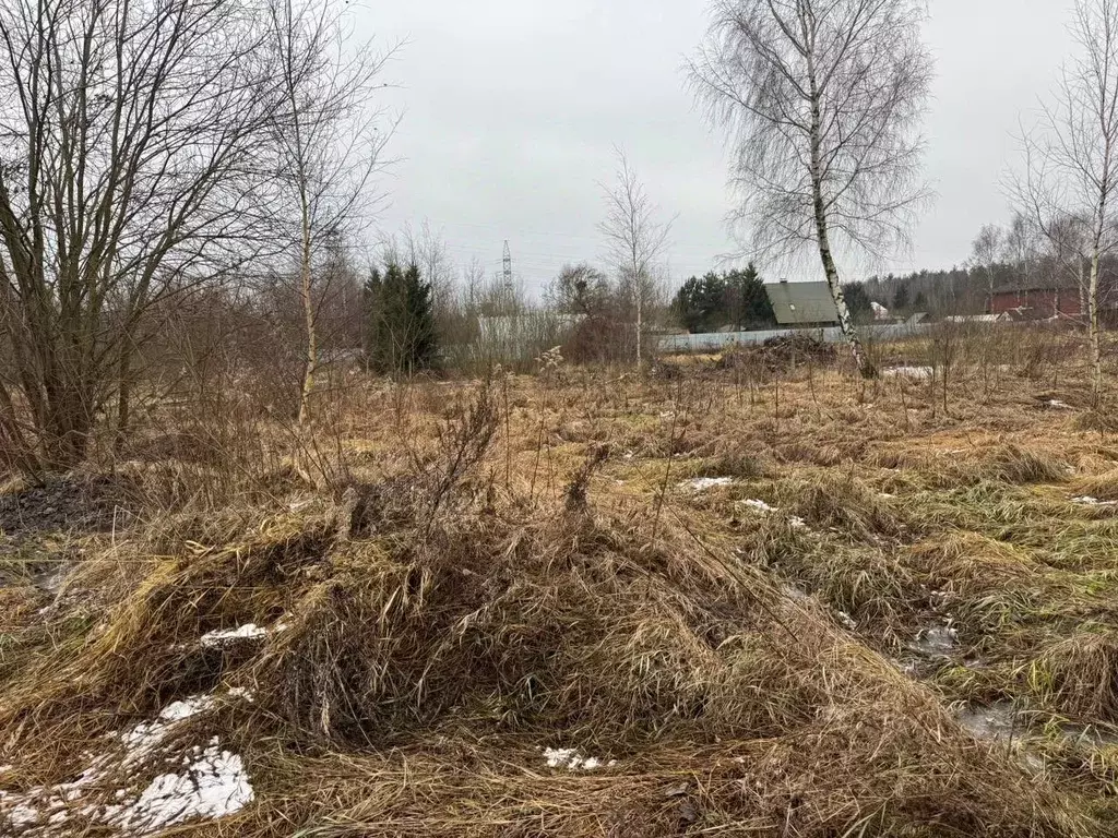 Участок в Московская область, Богородский городской округ, д. ... - Фото 1